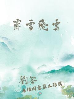 霁雪飞云
