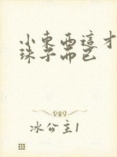 小东西这才一颗珠子而已