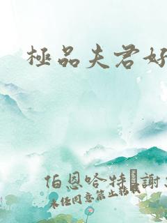 极品夫君好又多