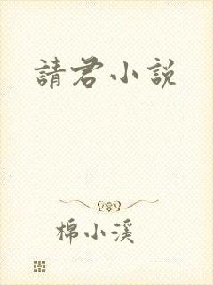 请君小说