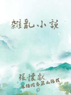 杂乱小说