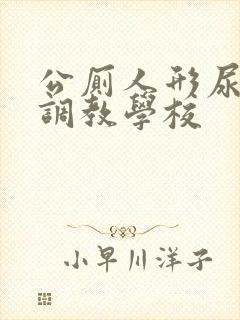 公厕人形尿便器调教学校