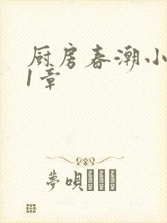 厨房春潮小说第1章