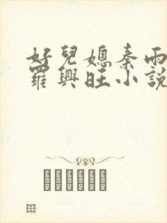 好儿媳秦雨罗明罗兴旺小说