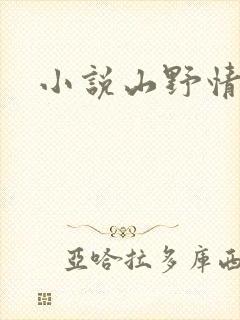 小说山野情债