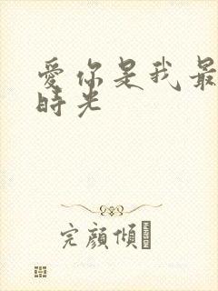 爱你是我最好的时光