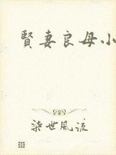 贤妻良母小说