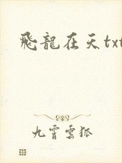飞龙在天txt