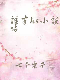 谁有hs小说网站
