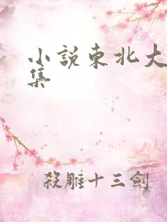 小说东北大炕全集