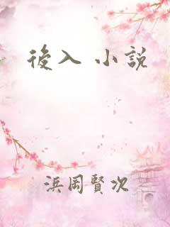 后入 小说