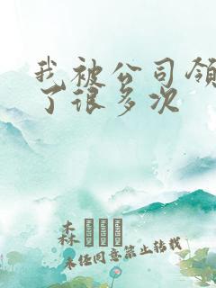 我被公司领导C了很多次