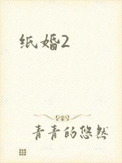 纸婚2