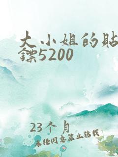 大小姐的贴身保镖5200