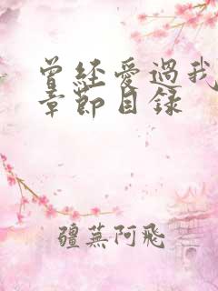 曾经爱过我刘念章节目录