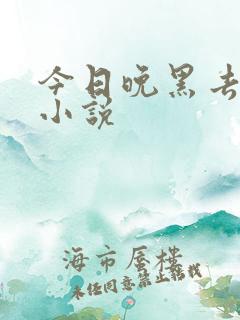 今日晚黑去见你小说