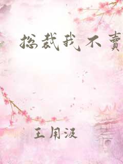 总裁我不卖宝宝