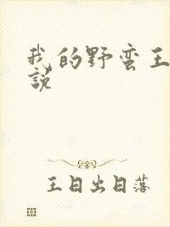 我的野蛮王妃小说