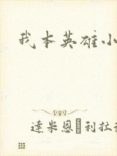 我本英雄小说