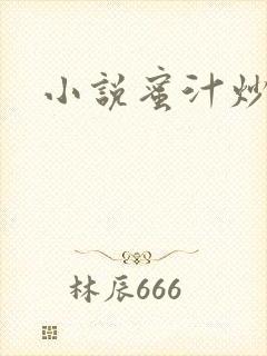 小说蜜汁炒鱿鱼