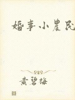 婚事小农民