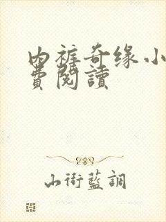 内裤奇缘小说免费阅读