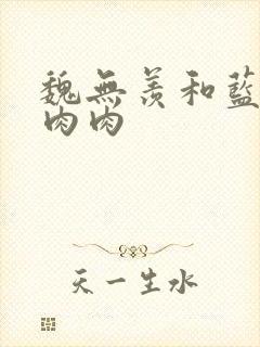 魏无羡和蓝忘机肉肉