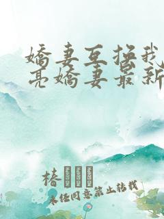 娇妻互换我的漂亮娇妻最新章节