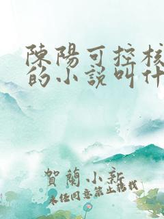 陈阳可控核聚变的小说叫什么名字