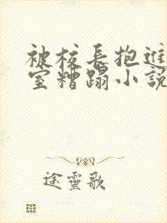 被校长抱进办公室糟蹋小说