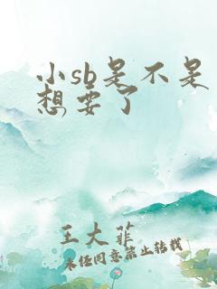 小sb是不是又想要了