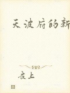 天波府的新姑爷