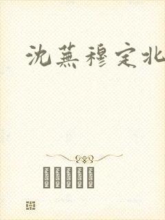 沈芜穆定北小说