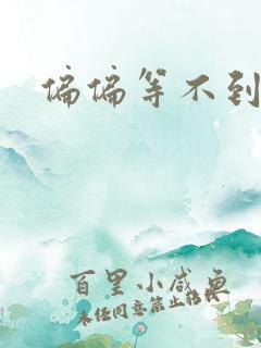 偏偏等不到小说