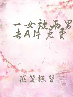 一女被两男桶进去A片免费