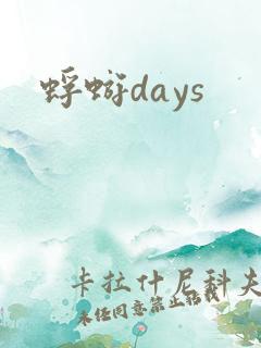 蜉蝣days