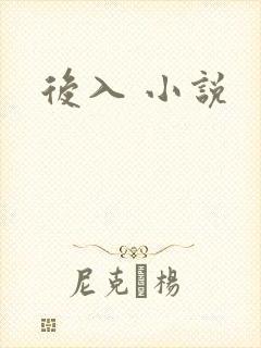 后入 小说
