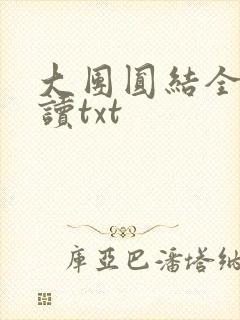 大团圆结全文阅读txt