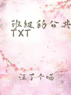 班级的公共玩具TXT