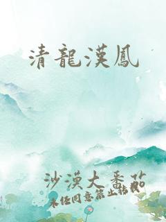 清龙汉凤