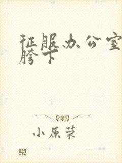 征服办公室杨丽胯下