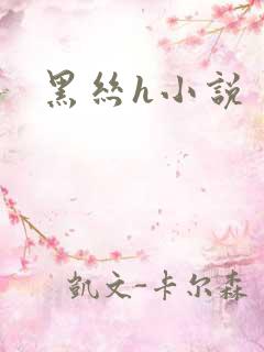 黑丝h小说