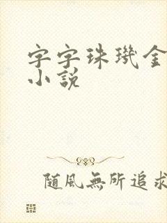 字字珠玑金银花小说