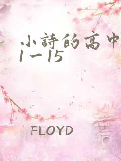 小诗的高中日记1一15