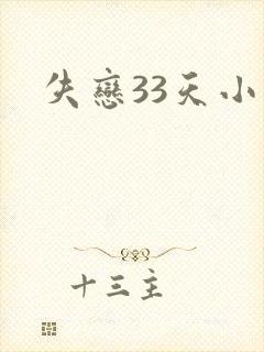 失恋33天小说