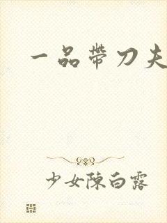 一品带刀夫人