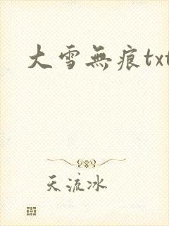 大雪无痕txt