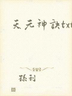 天元神诀txt