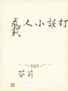 成人小说打包下载