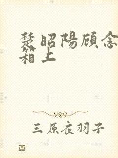 楚昭阳顾念在冰箱上